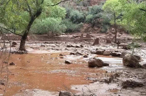 Dejan inundaciones al menos dos muertos en Gran Cañón, EU