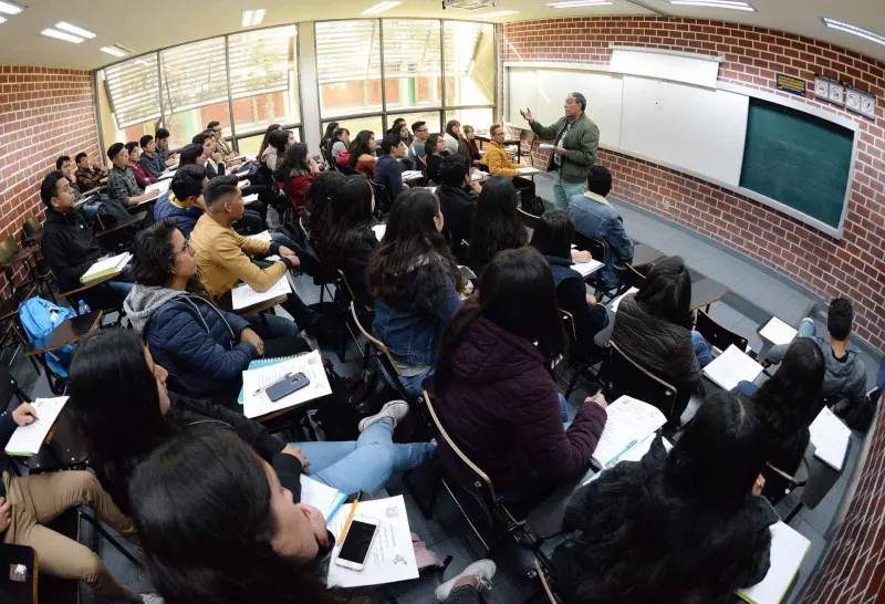Lo que no enseñan en las universidades