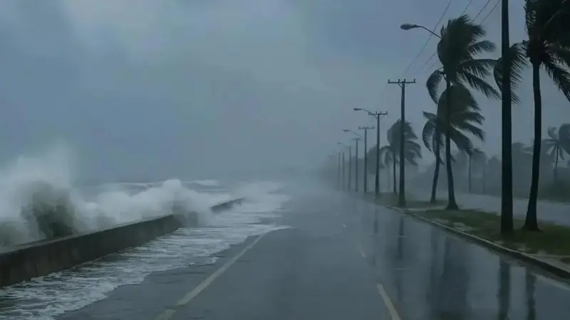 Se aproxima el Frente Frío 1 a México; azotará con heladas de 0 grados, lluvia, granizadas y fuertes ráfagas de viento de hasta 90 km/h