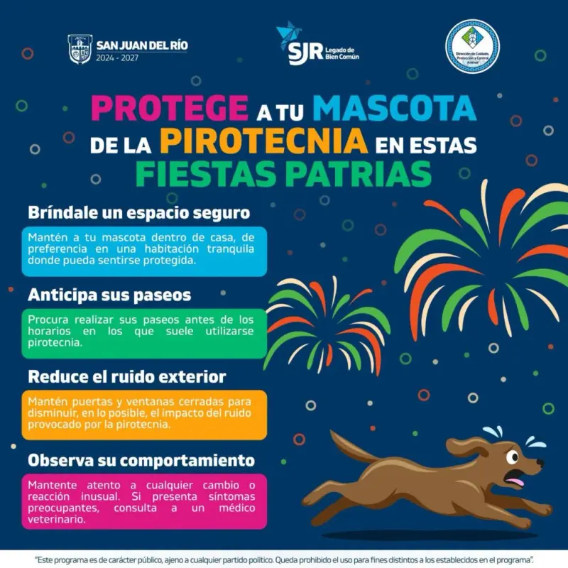 Fiestas Patrias: consejos para cuidar a tus mascotas de la pirotecnia
