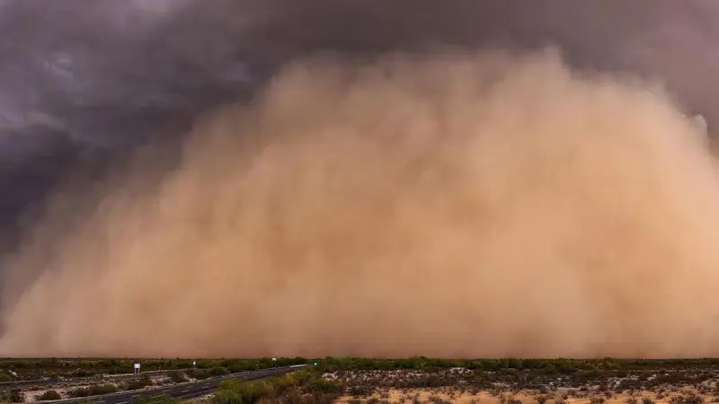 Polvo del Sahara se aproxima a México... ¿qué estados serán los afectados y cuáles son los daños para la salud?