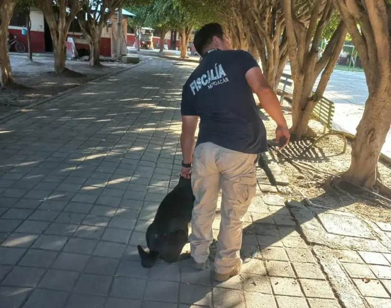 Localiza FGE a segundo can al que le aventaron agua caliente en Tanhuato