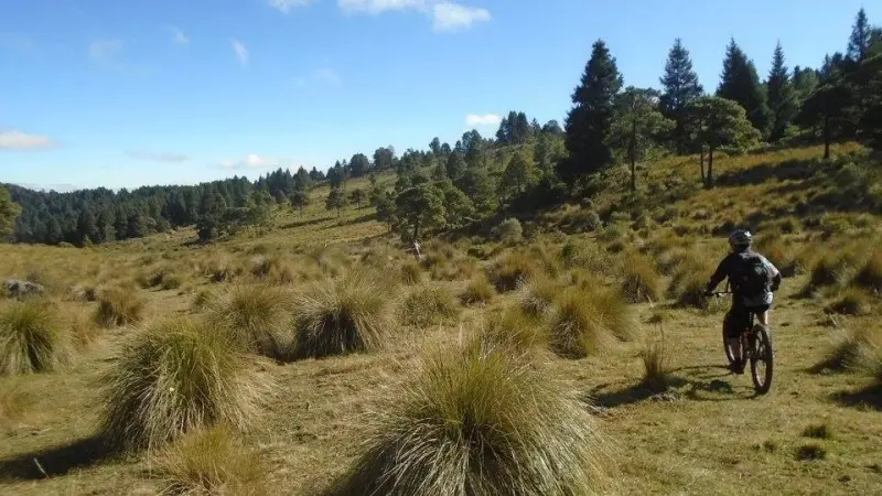 Rescatan PC y policías a mujer que se perdió en bosque de Naucalpan