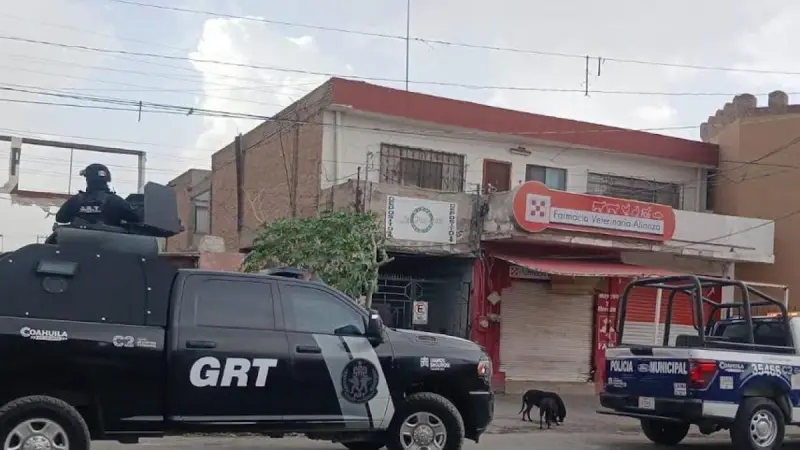 Buscan a pantera que salió a pasear en calles de Torreón, Coahuila
