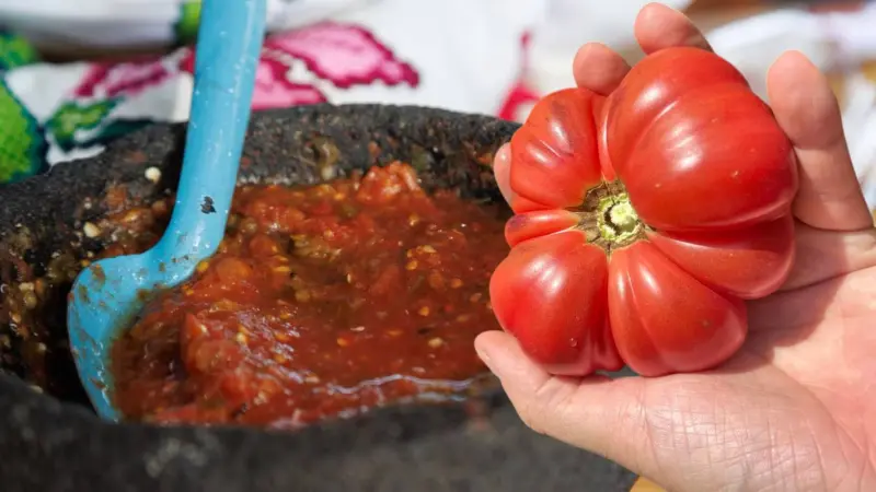 Con salsa de molcajete y tlacoyos: ¿Cuándo y a qué hora es la Feria del Jitomate en Los Pinos?