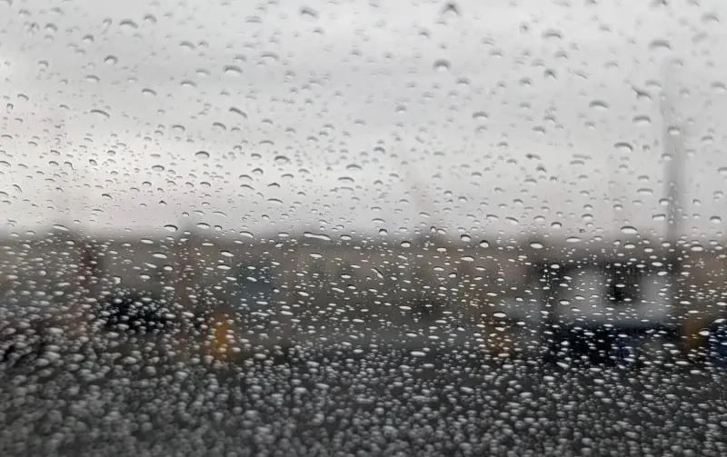 Por fin llega el otoño… acompañado de más lluvia