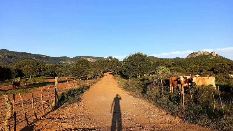 Destinan más de 2,700 millones de pesos a 29 caminos de la Mixteca oaxaqueña