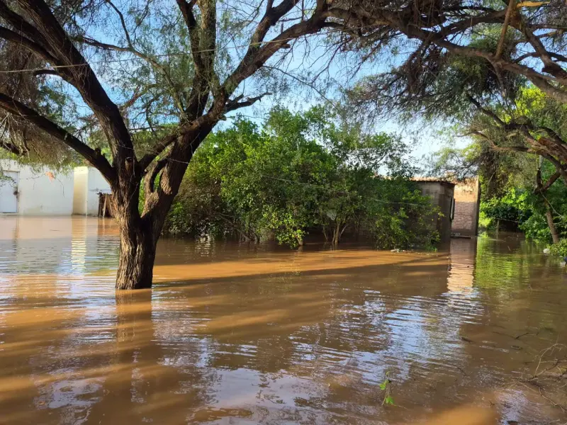 Huracán Polo inunda viviendas de pobladores de Estación Oroz y deja bajo el agua tramos carreteros entre Guaymas y Ciudad Obregón
