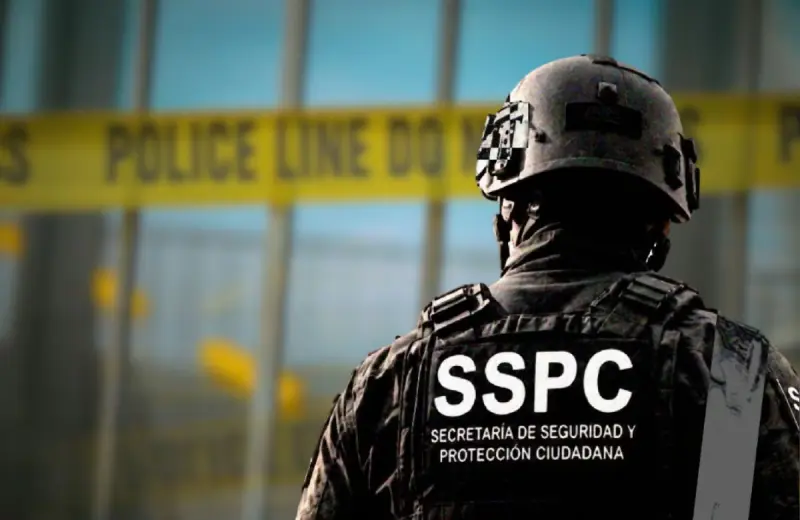 Dos elementos de la SSPC perdieron la vida en un ataque de la delincuencia organizada en Omealca, Veracruz, y las fuerzas federales ya realizan un operativo para detener a los agresores