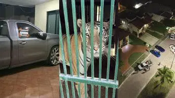 Aseguran 135 animales exóticos y 68 mil litros de diésel en Tamaulipas