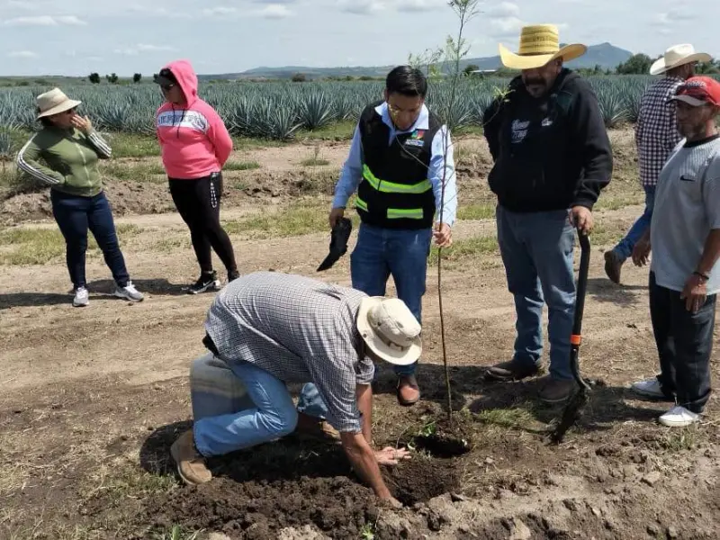Peñuelas recibe árboles para campo deportivo