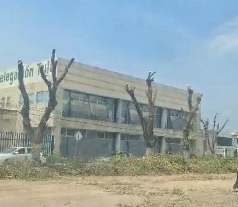 Ciudadanos de Tula rechazan tala de árboles en la calzada Melchor Ocampo