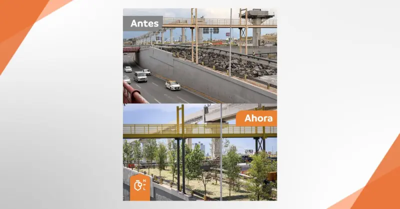 Bosques Ciudadanos suma más de 1.1 millones de árboles plantados en Nuevo León
