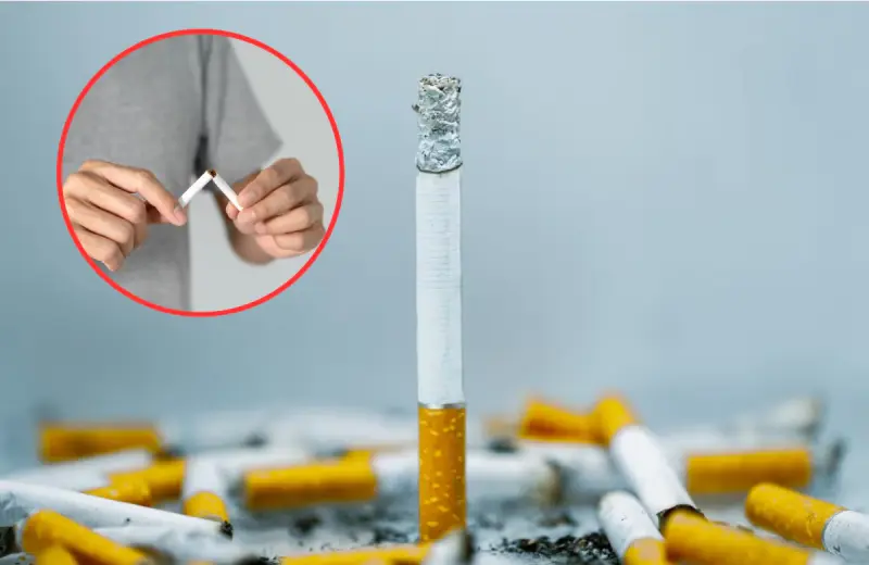 Los beneficios de dejar de fumar comienzan desde las primeras horas y aumentan con el paso de los años, pero el tiempo de consumo determina cuánto daño puede revertirse y cuánto pueden reducirse a futuro los riesgos de cáncer