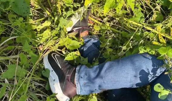 Hallan muerto a tiros a detenido por policías en Coyuca de Benítez
