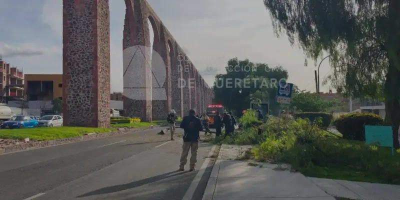 Atienden caída de árbol en Calzada de los Arcos; liberan la circulación sin reporte de lesionados