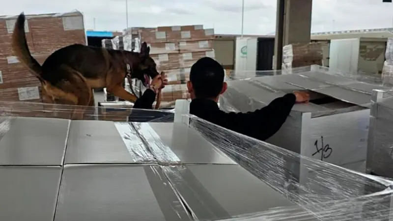 Personal de aduanas y elementos de la GN aseguraron 1,357 kilos de metanfetamina en Aduana de Tijuana