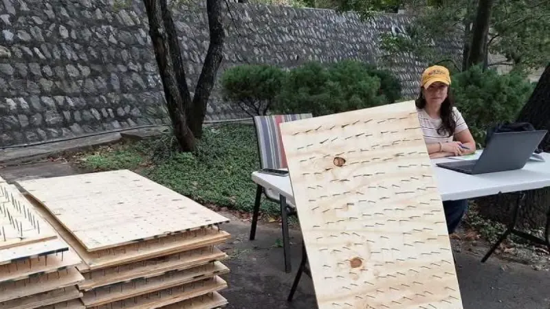 Presentan denuncia ante Profepa por tablas con clavos anti osos