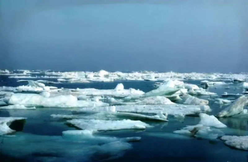 La seguridad europea se juega en el hielo: la UE promete “fortalecer” su estancia en el Ártico