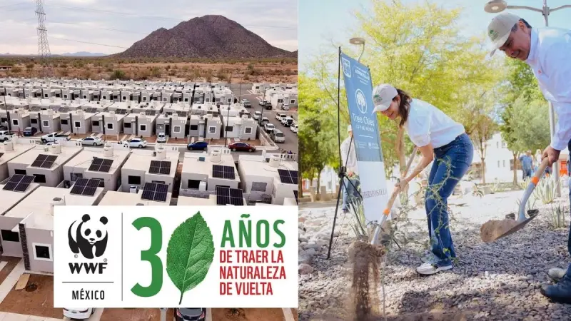 Hermosillo gana por segunda vez el Desafío de Ciudades de WWF por sus acciones contra el cambio climático