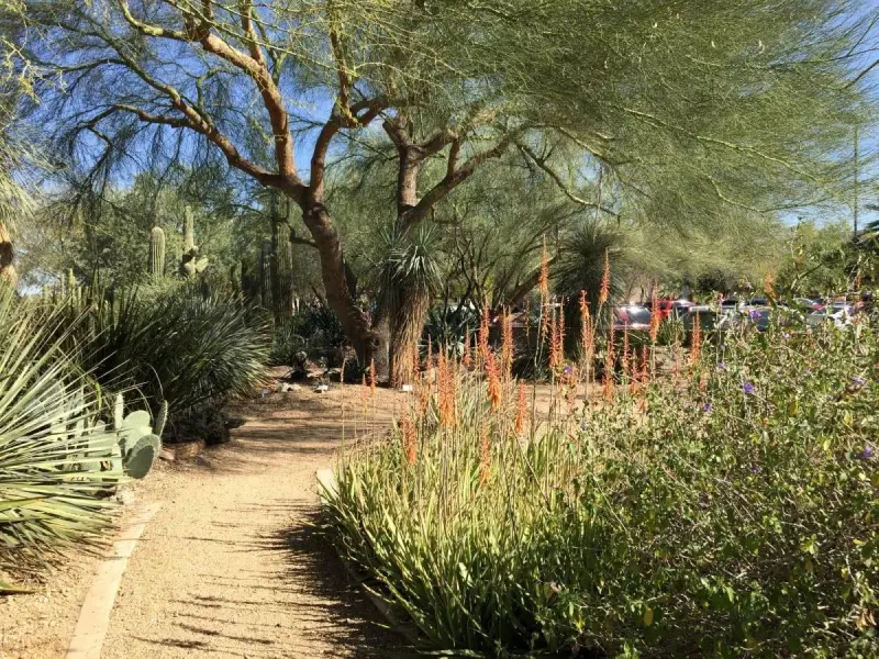 Xeriscape Demonstration Garden: un jardín sostenible en Glendale