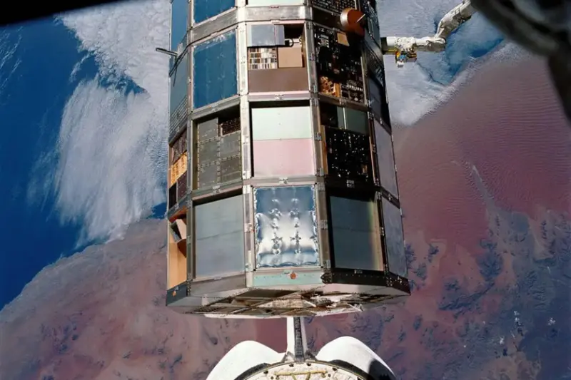 En 1984, la NASA envió al espacio 12.5 millones de semillas de tomate. Regresaron a la Tierra 6 años después para ser plantadas por estudiantes