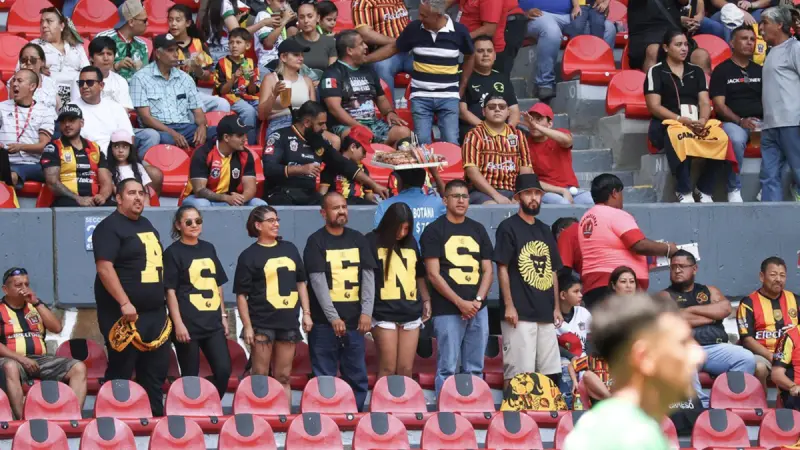 El Senado lleva a debate el ascenso y descenso en el futbol profesional