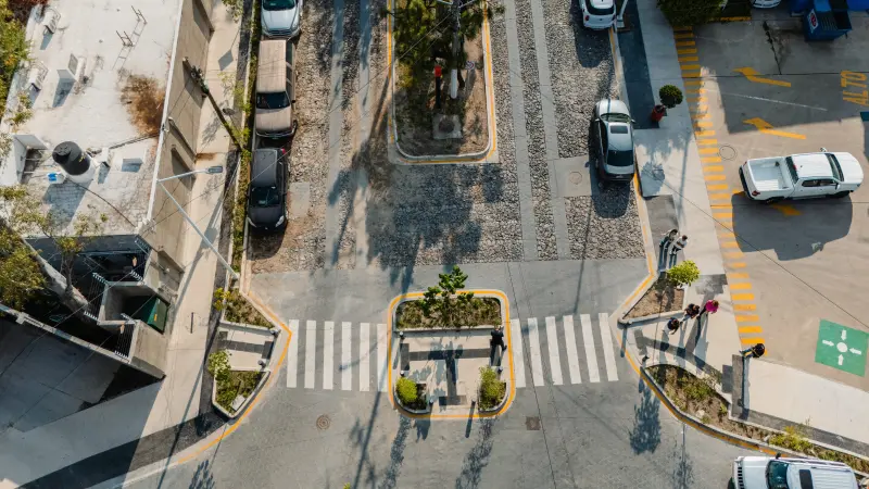 Invierte Zapopan 53.2 mdp en la renovación de Calzada de las Palmas