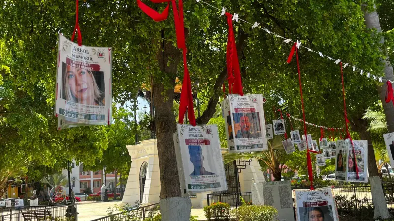 Nombres que resisten al olvido: seis historias de ausencia en Mazatlán