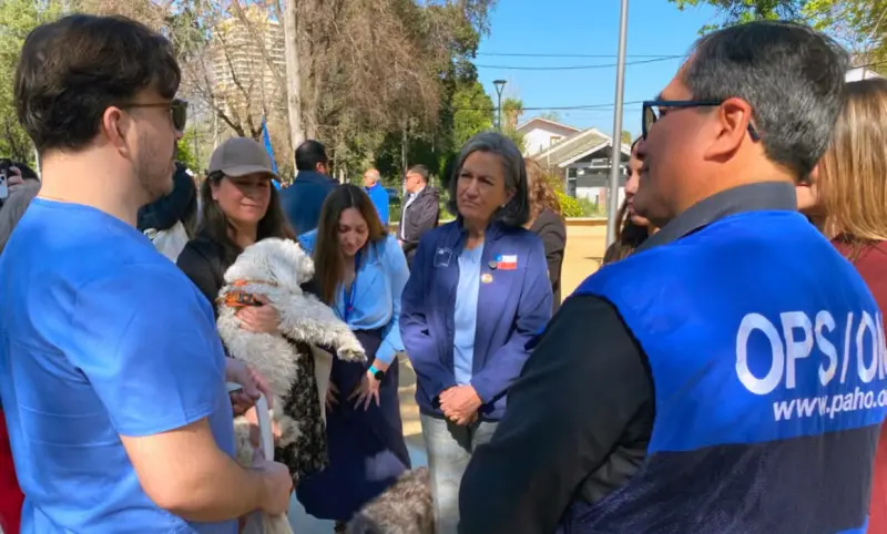 Recibe Chile validación de la OMS por eliminar la rabia canina