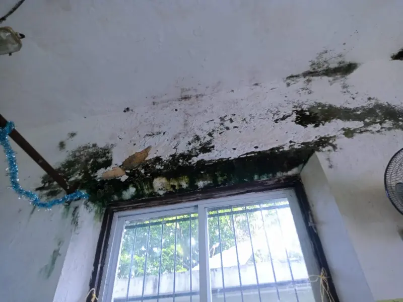 Piden mantenimiento para evitar reubicación de alumnos en primaria Carlos Castro Morales