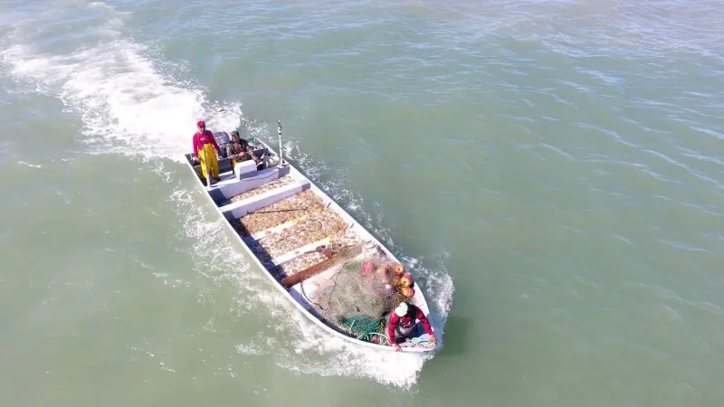 62 pescadores del Golfo de Santa Clara recibirán motores nuevos para sus embarcaciones