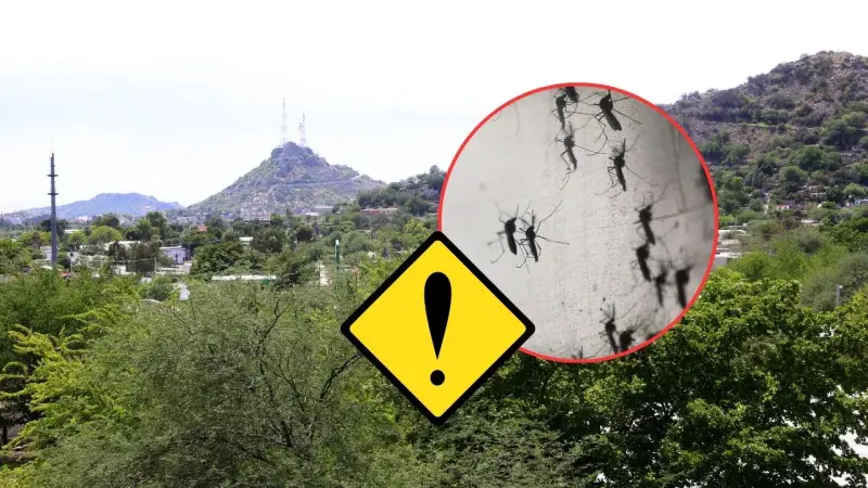 Hermosillo concentra el 44% de los casos activos de dengue en Sonora y Salud identifica las zonas de la ciudad con mayor riesgo de contagio