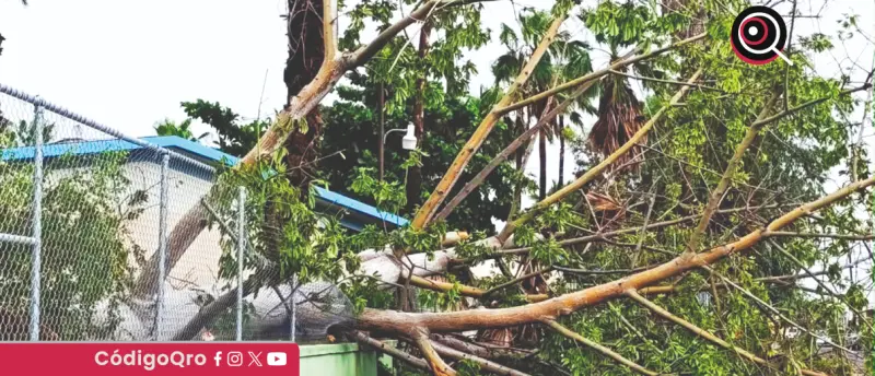 Polo se debilita a tormenta tropical en su paso por Sonora