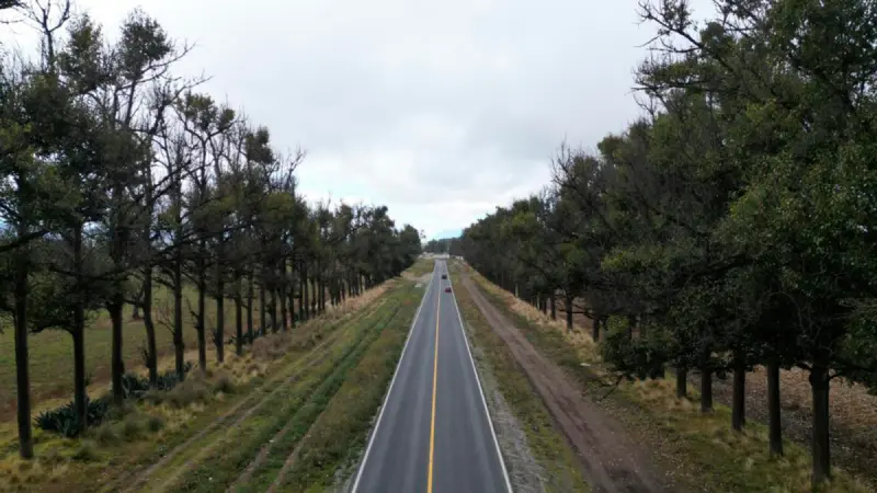 Veracruz invierte 108 mdp en carretera Tlapacoyan–Perote