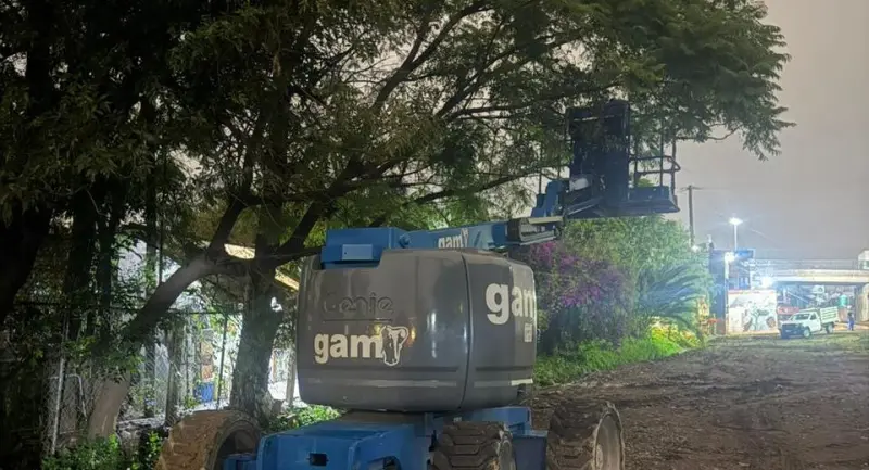 Vecinos de El Tepe frenan posible tala por obras del tren