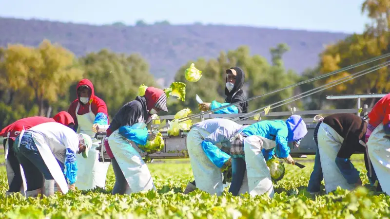 Productores agroindustriales del sureste apuestan por la sustitución de importaciones
