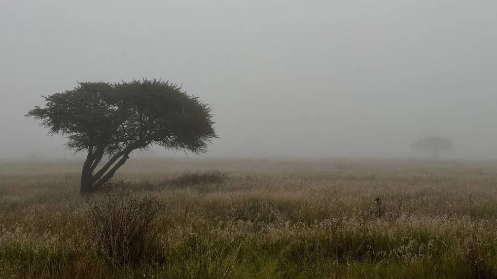 Vance mantiene lluvias muy fuertes en Jalisco y Colima