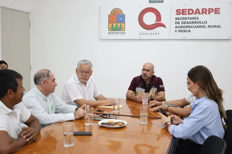 Mapean 400 hectáreas de coco para impulsar al campo de Quintana Roo
