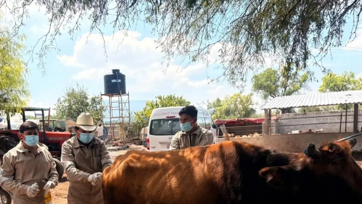 Aumentan a 780 los casos de gusano barrenador en humanos; suman 8 muertes