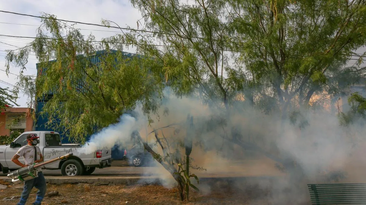 Suman 33 muertes por dengue; hay más de 8 mil contagios