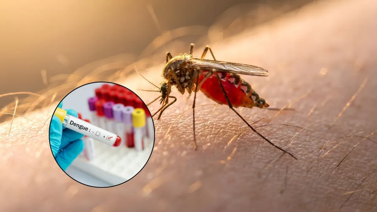 Sonora suma más de mil 862 casos de dengue y 5 muertes en 2026