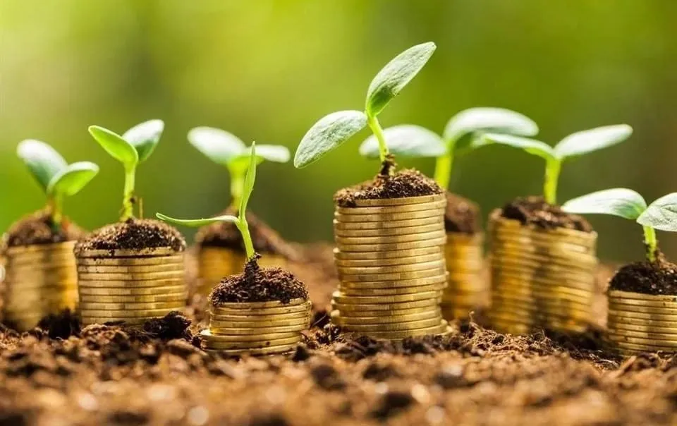 Somete SHCP a consulta pública el objetivo de biodiversidad