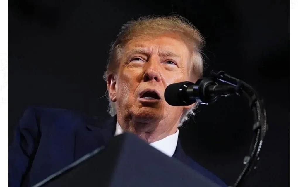 Ofrece Trump 1 millón de dólares por denuncias electorales