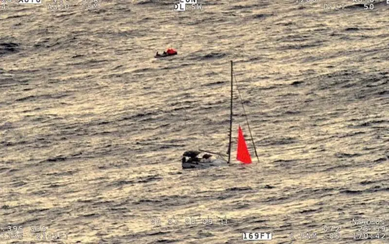 Una ballena embiste un yate, dejando a su tripulación varada durante 18 horas