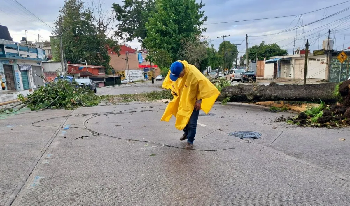 Mantiene alcaldía de Xalapa vigilancia por norte; reportan incidentes menores