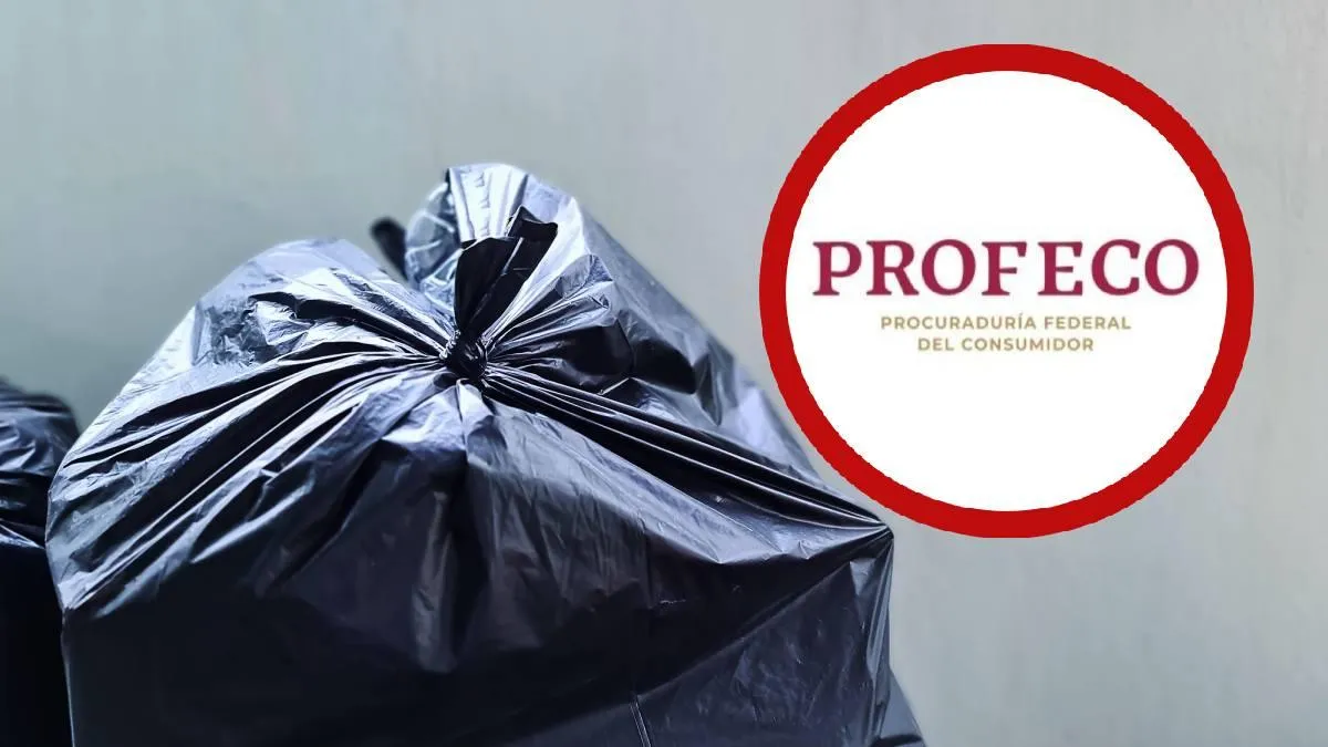 ¿Cuál aguanta más sin romperse? La mejor bolsa para la basura según Profeco