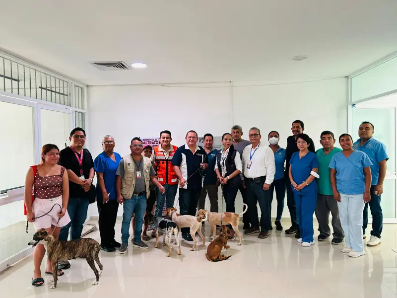 Inicia jornada de esterilización gratuita para mascotas en Acapulco