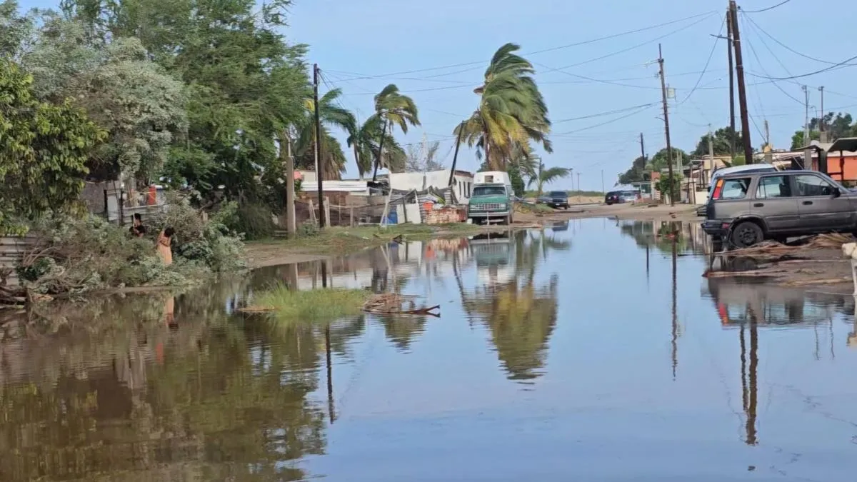 Tras el huracán Polo en BCS: familias lo pierden todo y enfrentan saqueos
