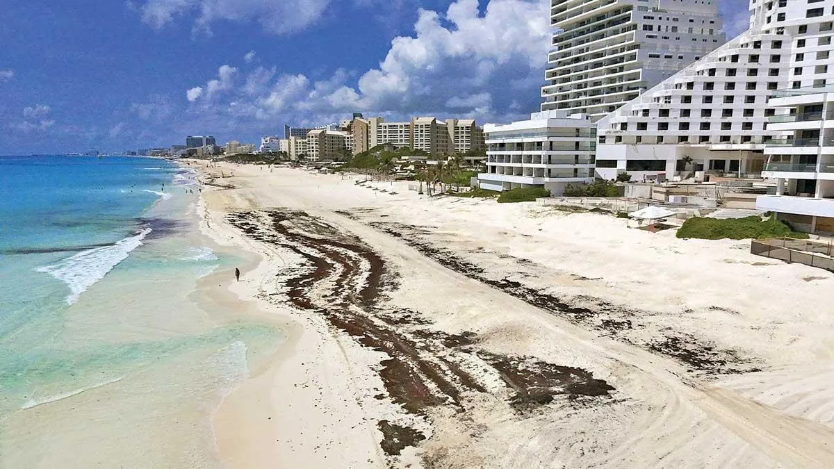Homologan cobro por uso de playas en Quintana Roo